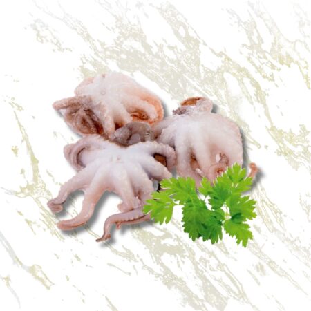 Baby chobotničky